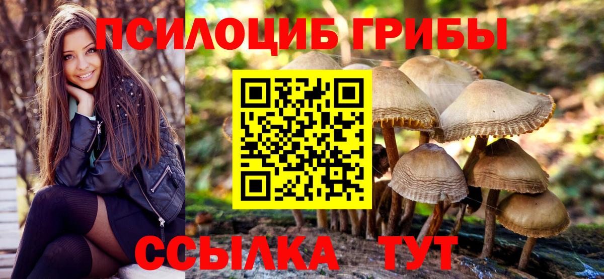 Галлюциногенные грибы Cubensis  продажа наркотиков  Псилоцибиновые грибы мухоморы  Рузаевка  Вход с VPN 